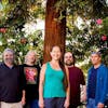 Dark Star Orchestra Dark Star Orchestra