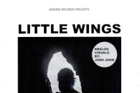 Little Wings / Gene Tripp Little Wings / Gene Tripp