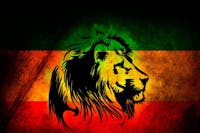 Reggae Gold XL Reggae Gold XL