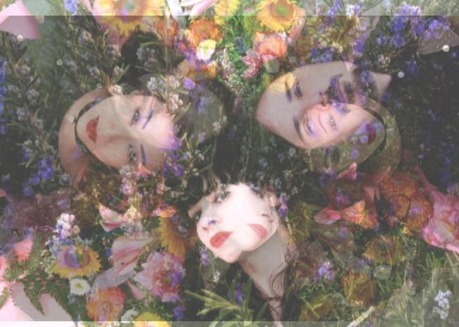 The Stargazer Lillies // Citrus Clouds The Stargazer Lillies // Citrus Clouds
