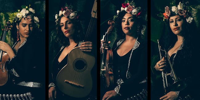 Flor de Toloache - SOLD OUT Flor de Toloache - SOLD OUT