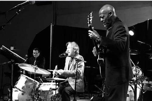 David Basse Trio David Basse Trio