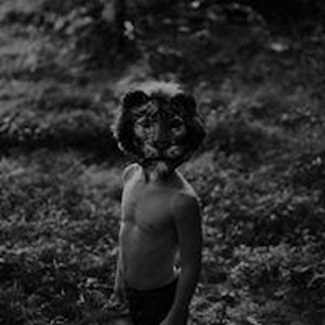Tigers + Thieves Tigers + Thieves