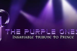 The Purple Ones Insatiable Tribute To Prince Tickets