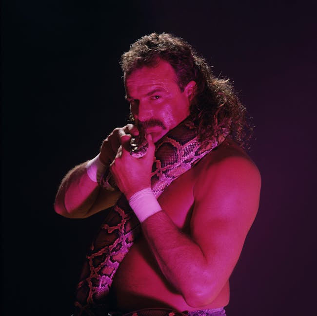 Jake "The Snake" Roberts - Dirty Details Tour
